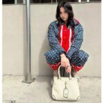 Louis Vuitton LV Women Tricolor Monogram Puffer Jacket Polyamide Navy Red - immagine 14