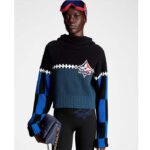 Louis Vuitton Women LV SKI Graphic Hooded Pullover Snowflake Motif Cashmere Black Blue - Image 13