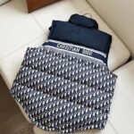 Dior Men CD Reversible Puffer Vest Blue Ecru Dior Oblique Quilted Technical Taffeta - Imagen 5