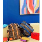 Louis Vuitton LV Unisex Christopher MM Backpack Blue Monogram Macassar Coated Canvas Cowhide Leather - immagine 6