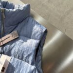 Dior Women CD Dior Oblique Down Vest Blue Technical Jacquard - immagine 7