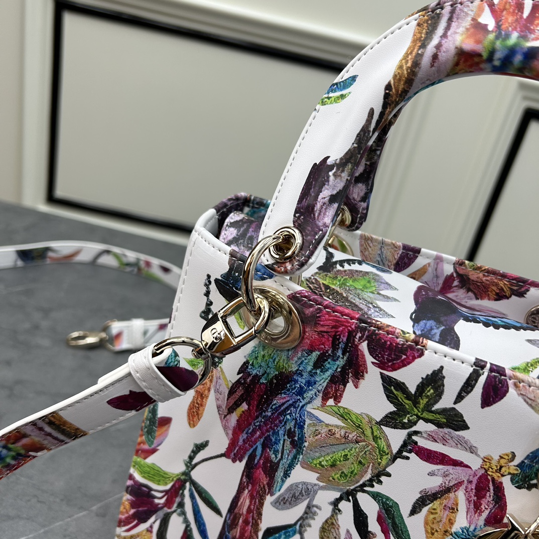 Dior Women CD Mini Lady Dior Bag White Multicolor Calfskin Toile De Jouy Fantastica Print Embroidery