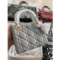Dior Women CD Small Lady Dior My ABCDior Bag Stone Gray Cannage Lambskin Reference M0538ONGE_M41G (1)