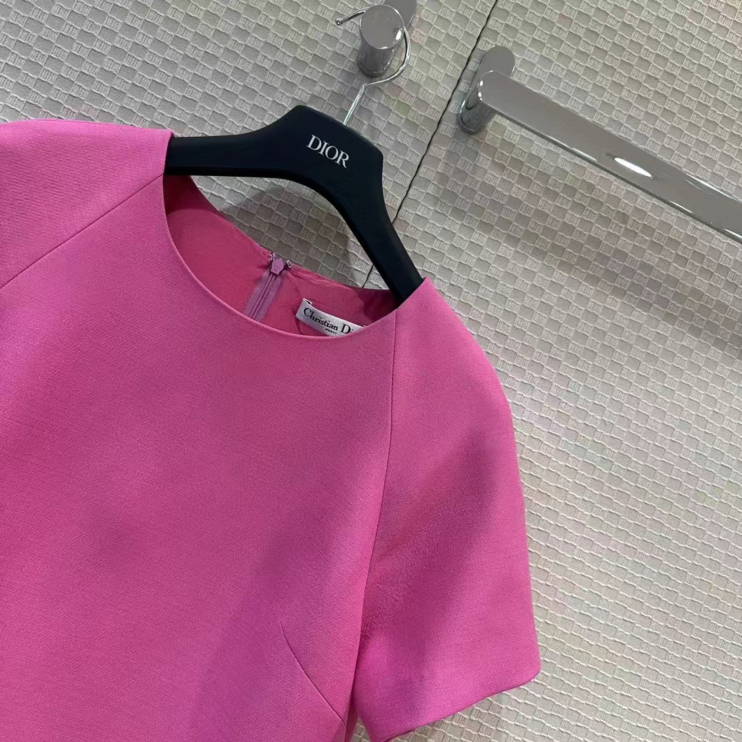 Dior Women CD Straight Dress Pink Wool Silk Back Zip Closure Side Welt Pockets (1)