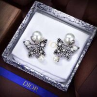 Dior Women Tribales Earrings Antique Silver-Finish Metal (1)