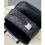 Louis Vuitton LV Unisex Avenue Backpack Damier Graphite Coated Canvas Cowhide-Leather - Image 6