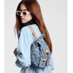 Louis Vuitton LV Unisex Venice Denim Blue GOTS Certified Cotton Monogram Denim Canvas - Image 16
