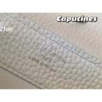 Louis Vuitton LV Women Capucines Mini Handbag Galet Taurillon Leather - Imagen 11