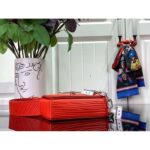 Louis Vuitton LV Unisex Micro Steamer Vermillion Red Epi XL Grained Leather Cowhide Leather – Image 5