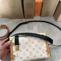 Louis Vuitton LV Women Side Trunk MM Monogram Dune Coated Canvas Cowhide-Leather (2)