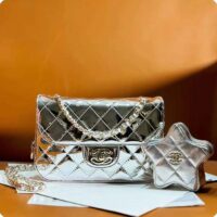 Chanel Women CC 22 Mini Flap Bag Star Coin Purse Mirror Metallic Calfskin Gold (3)
