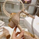 Dior Women CD Dior Rose Pump Nude Suede Calfskin Strass White Resin Pearls Reference: KCB876CST_S55U - Image 6