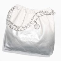 Chanel Women CC 22 Handbag Metallic Shaded Calfskin White Silver (1)