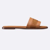 Dior CD Unisex Dway Slide Camel Calfskin Embroidered Cotton (2)