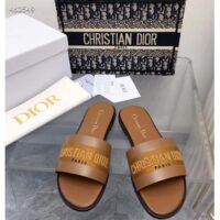 Dior CD Unisex Dway Slide Camel Calfskin Embroidered Cotton (2)