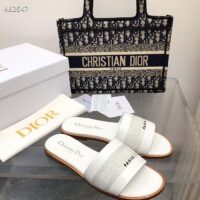 Dior CD Unisex Dway Slide White Calfskin Embroidered Cotton (6)