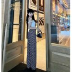 Dior CD Women Dior Chez Moi Pants Blue Oblique Silk Twill - Image 9