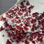 Dior Men CD Embroidered Sweater Red Cashmere Knit Le Cœur - immagine 8