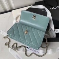 Chanel Women CC Small Flap Bag Top Handle Pearly Lambskin Light Green (5)