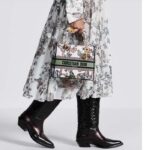 Dior Women CD Medium Lady D-Lite Bag White Multicolor Toile De Jouy Mexico – Image 11