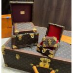 Louis Vuitton LV Unisex Pyramid Trunk Brown Monogram Coated Canvas M10052 - immagine 8