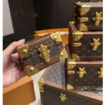 Louis Vuitton LV Unisex Pyramid Trunk Brown Monogram Coated Canvas M10052 - immagine 14