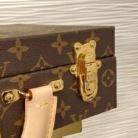 Louis Vuitton LV Women Jewelry Vanity Brown Red Coated Canvas Microfiber M20076 (1)