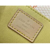 Louis Vuitton LV Women Pochette Métis East West Peach Damier Giant Coated Canvas N40749 (3)