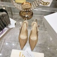 Dior CD Women J’Adior Slingback Pump Natural Raffia Flat Bow (2)