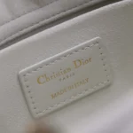 Dior Women Medium Lady D-Joy Bag Latte Graphic Cannage Calfskin