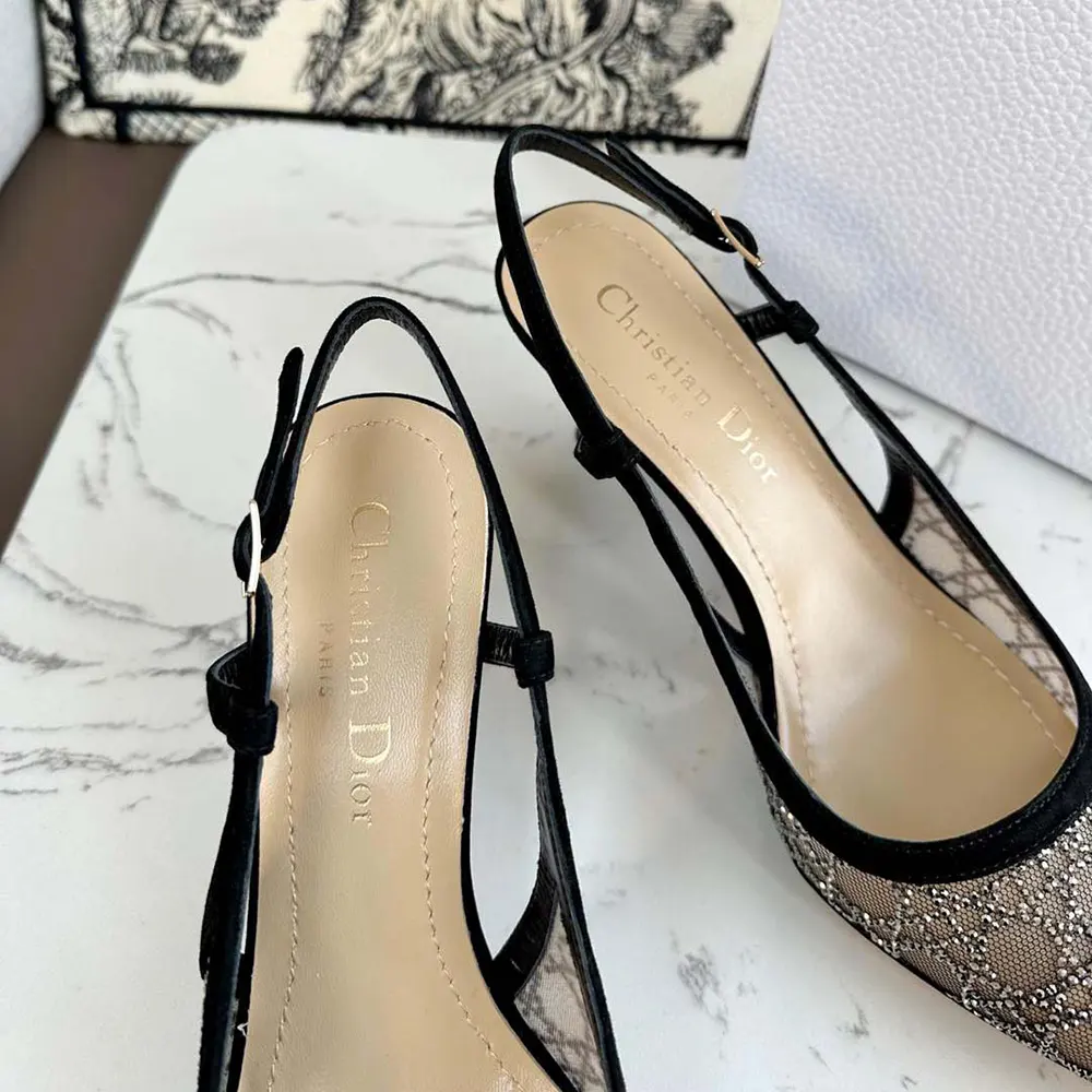 Dior Women Capture Slingback Pump Transparent Mesh with Silver-Tone Strass Cannage Motif