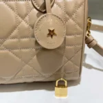 Dior Women Groove 25 Bag Biscuit Macrocannage Calfskin M1365UBOL