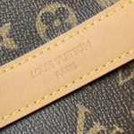 Louis Vuitton LV Women CarryAll BB in Cowhide-leather Trim M13014