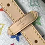 Louis Vuitton LV Women LV x TM CarryAll PM in Cowhide-leather Trim M13661