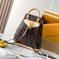 Louis Vuitton LV Women Montsouris PM in Cowhide-leather Trim M11198 (1)