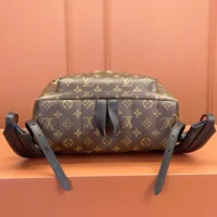 Louis Vuitton LV Women Palm Springs MM M44874 (1)