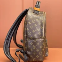Louis Vuitton LV Women Palm Springs MM M44874 (1)