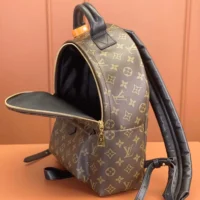 Louis Vuitton LV Women Palm Springs MM M44874 (1)