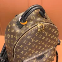 Louis Vuitton LV Women Palm Springs MM M44874 (1)