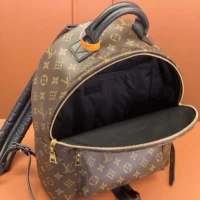 Louis Vuitton LV Women Palm Springs MM M44874 (1)