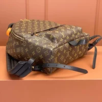 Louis Vuitton LV Women Palm Springs MM M44874 (1)