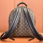 Louis Vuitton LV Women Palm Springs MM M44874