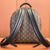 Louis Vuitton LV Women Palm Springs MM M44874 (1)