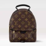 Louis Vuitton LV Femme Palm Springs Mini M44873