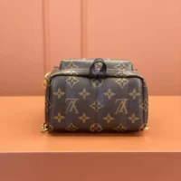 Louis Vuitton LV Women Palm Springs Mini M44873 (1)