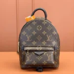 Louis Vuitton LV Femme Palm Springs Mini M44873