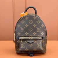 Louis Vuitton LV Women Palm Springs Mini M44873 (1)