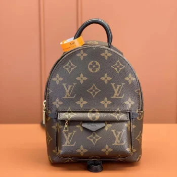 Louis Vuitton LV Women Palm Springs Mini M44873