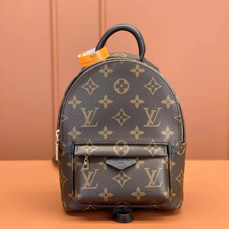 Louis Vuitton LV Women Palm Springs Mini M44873