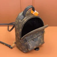 Louis Vuitton LV Women Palm Springs Mini M44873 (1)